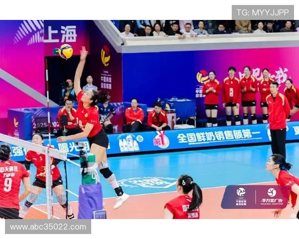 体育排超联赛半决赛（排超赛程2020）sports